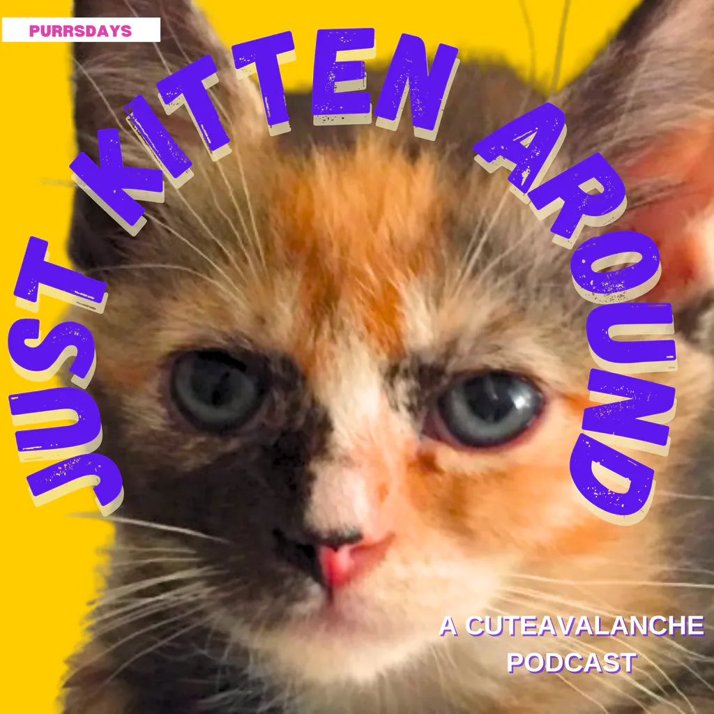 Just Kitten Around from Cuteavalanche - the Pawdcast for Cat Lovers - hosted by Sam Proof